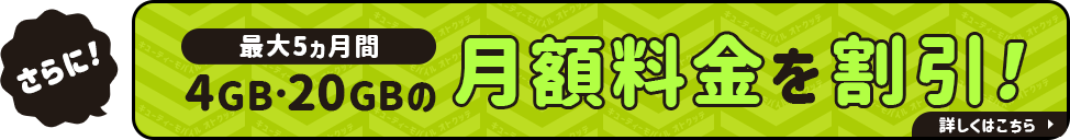 【Web限定】4GB/20GB割引キャンペーン