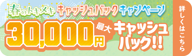 春のトキメキキャッシュバックキャンペーン 公式サイト限定キャンペーンと合わせて 最大30,000円キャッシュバック！