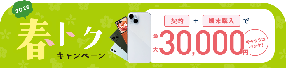 ご契約＋対象スマホご購入で最大30,000円キャッシュバック